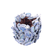 Загрузить изображение в средство просмотра галереи, Candle Holder" Pearl Leaf" ceramic hand-made art by Asia Terek